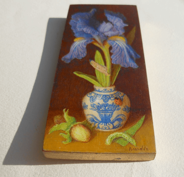 Iris flower and ladybug - Iris et coccinelle