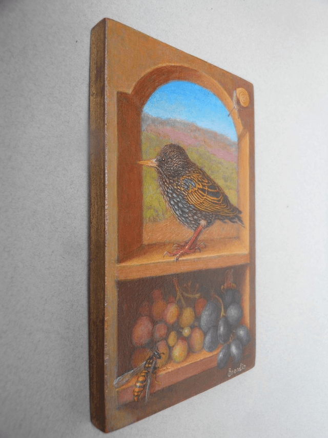 A young starling