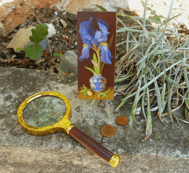 Iris flower and ladybug - Iris et coccinelle