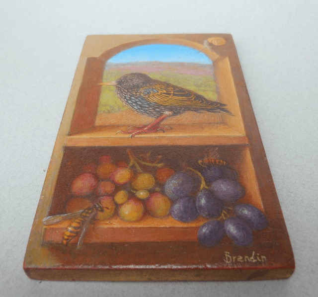A young starling