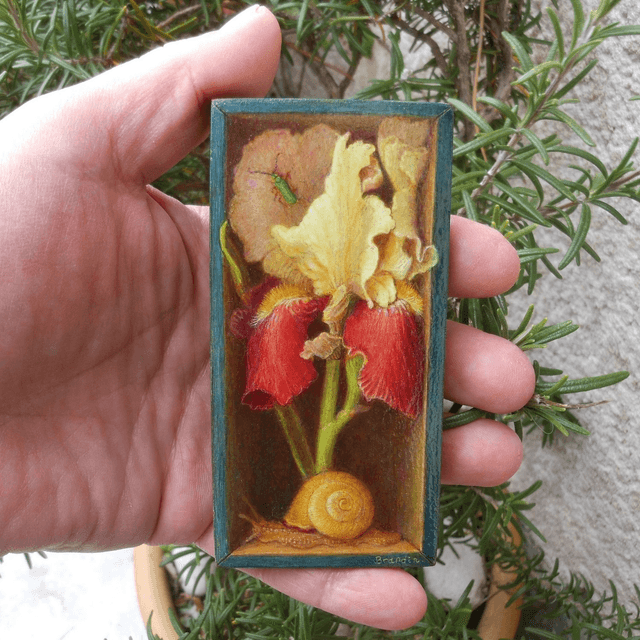 Trompe l'oeil painting of an iris and a snail in a blue box