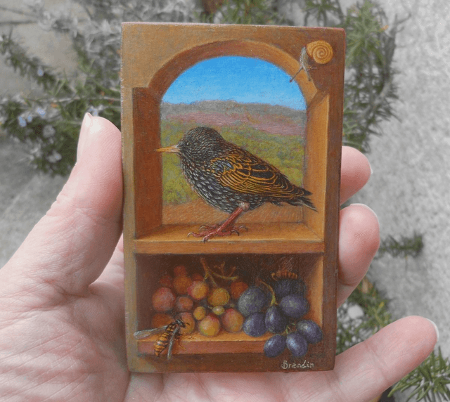 A young starling