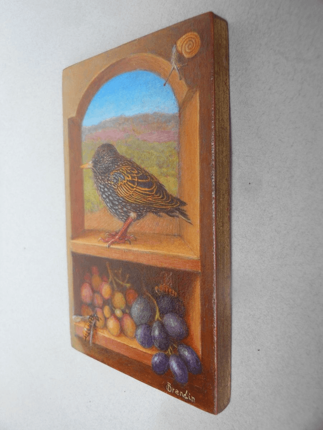 A young starling